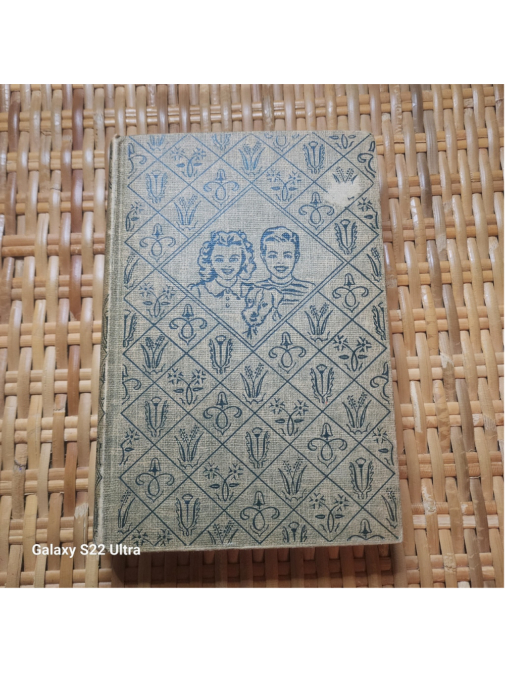 1927 The Bobbsey Twins at Cherry Corners Laura Lee Hope Grosset & Dunlap Hardcov